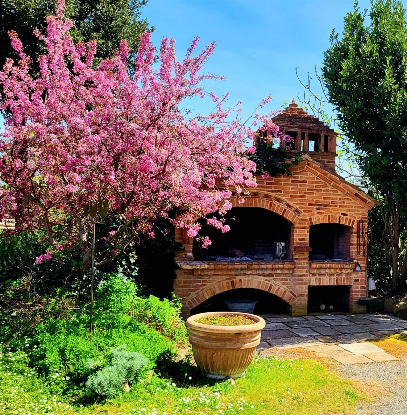 Podere Cunina Buonconvento Kültér fotó