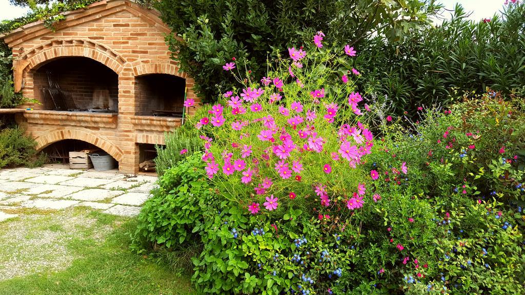Podere Cunina Buonconvento Kültér fotó