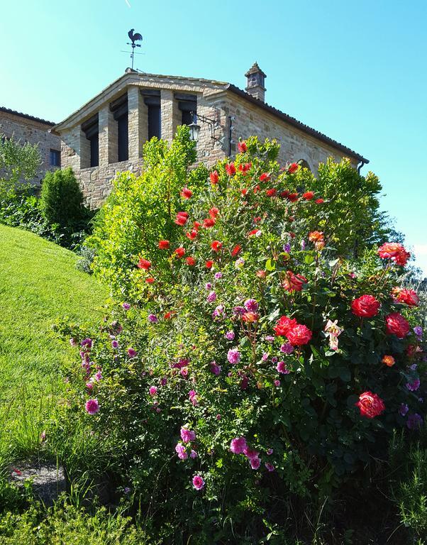 Podere Cunina Buonconvento Kültér fotó